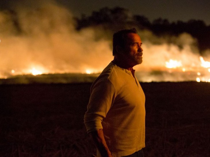 Contagious: Epidemia mortale - fotogramma