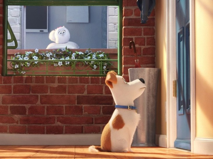 Pets - Vita da Animali - fotogramma