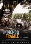Un mondo fragile - poster