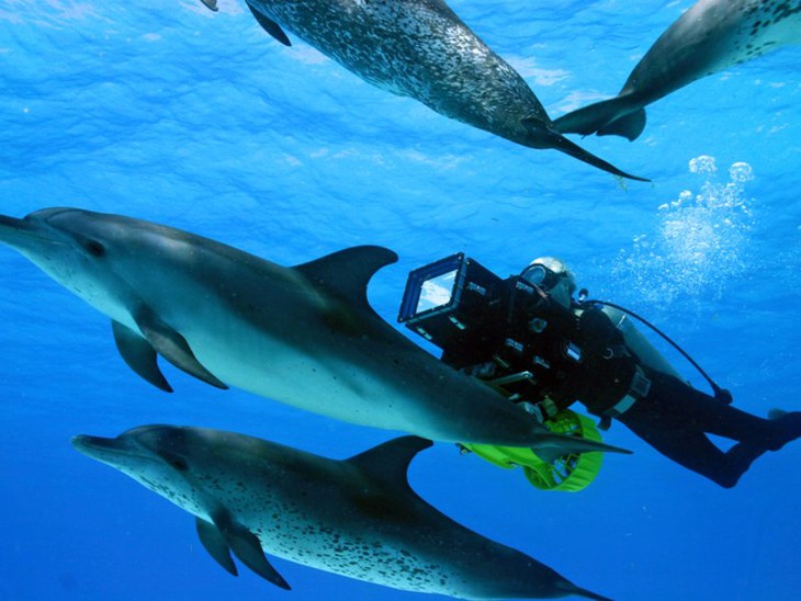 Oceani 3D - fotogramma