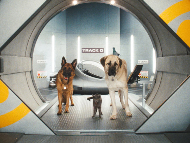 Cani & Gatti: La Vendetta di Kitty - fotogramma