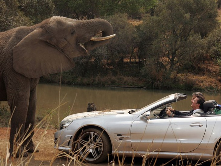 Natale in Sudafrica - fotogramma