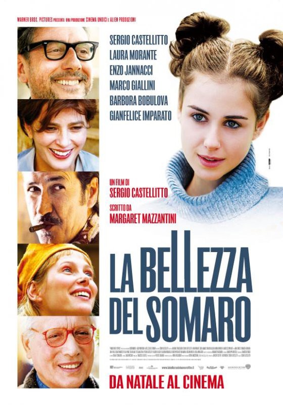La Bellezza del Somaro - poster
