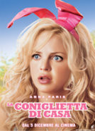 La coniglietta di casa - poster