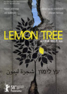 Il giardino dei limoni - poster