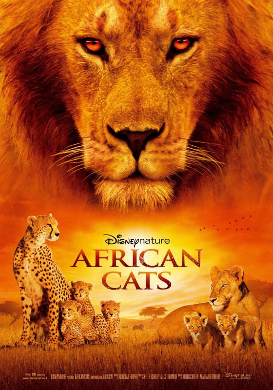 African Cats - poster