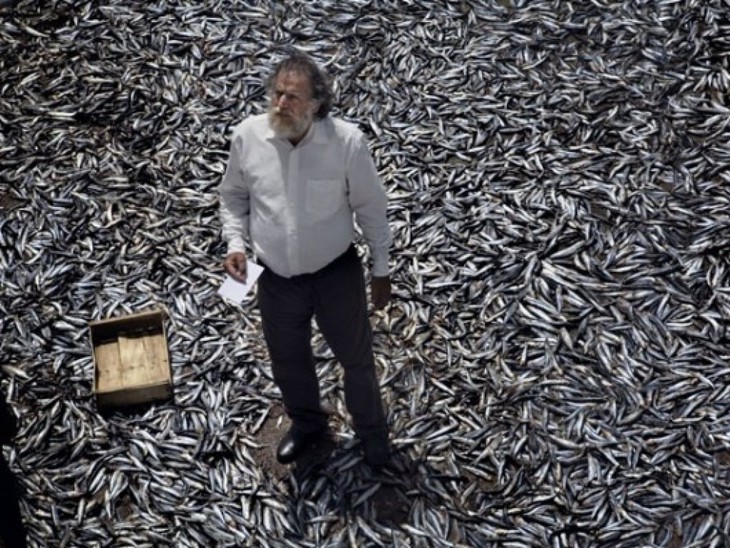 Terraferma - fotogramma