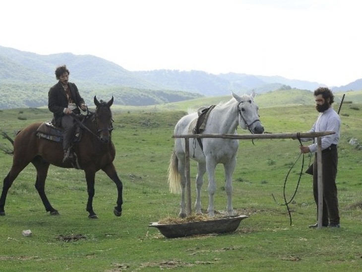 Cavalli - fotogramma