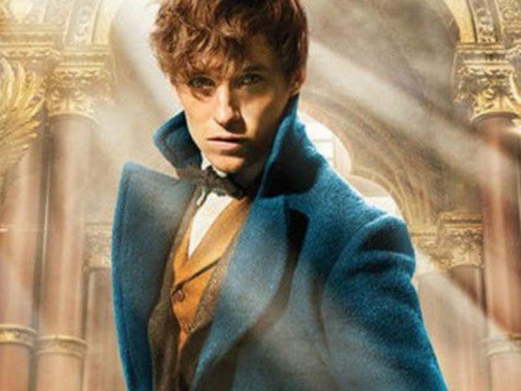 Animali fantastici e dove trovarli - fotogramma