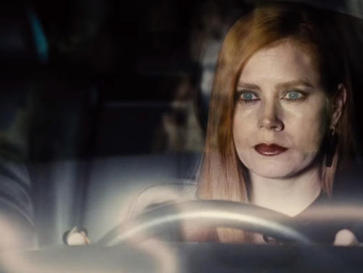 Animali notturni - fotogramma