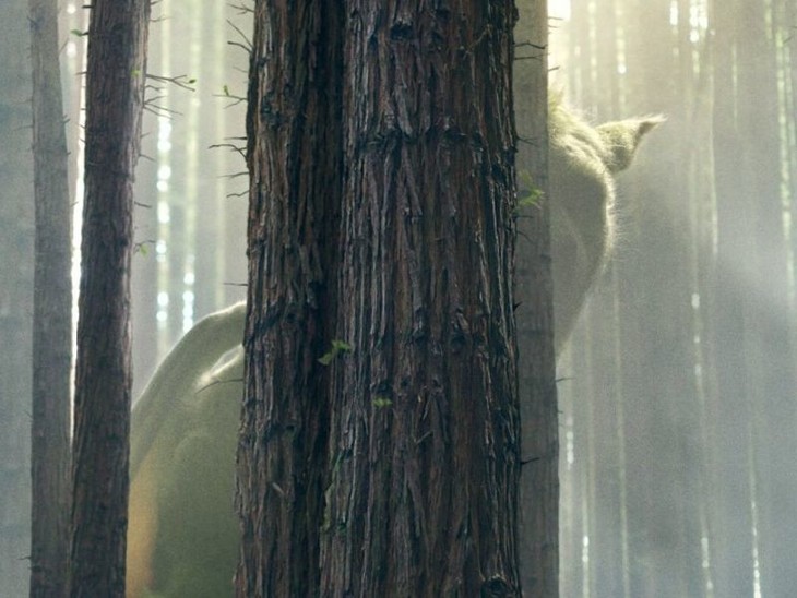 Il drago invisibile - fotogramma