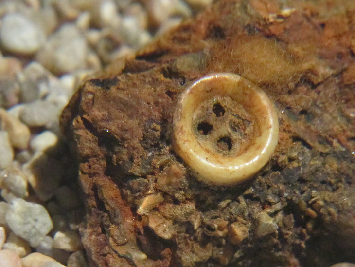 La memoria dell'acqua - fotogramma