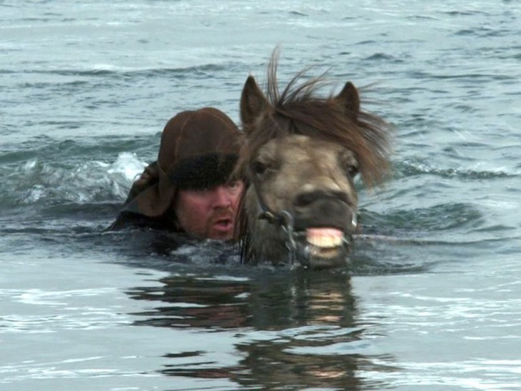 Storie di cavalli e di uomini - fotogramma