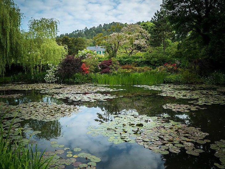Da Monet a Matisse - l'arte di dipingere il girardino moderno - fotogramma