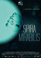 Spira Mirabilis - poster
