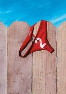 Cattivi vicini 2 - poster