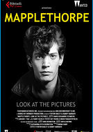 Mapplethorpe: Look at the Pictures - poster