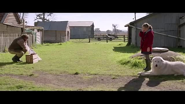 Giotto L Amico Dei Pinguini Film Completo In Italiano