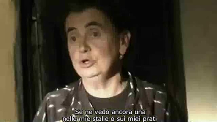 Il Vento Fa Il Suo Giro Raiplay